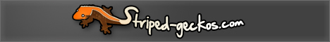 files/images/banner/468x60.2.jpg files/images/banner/468x60.2.jpg